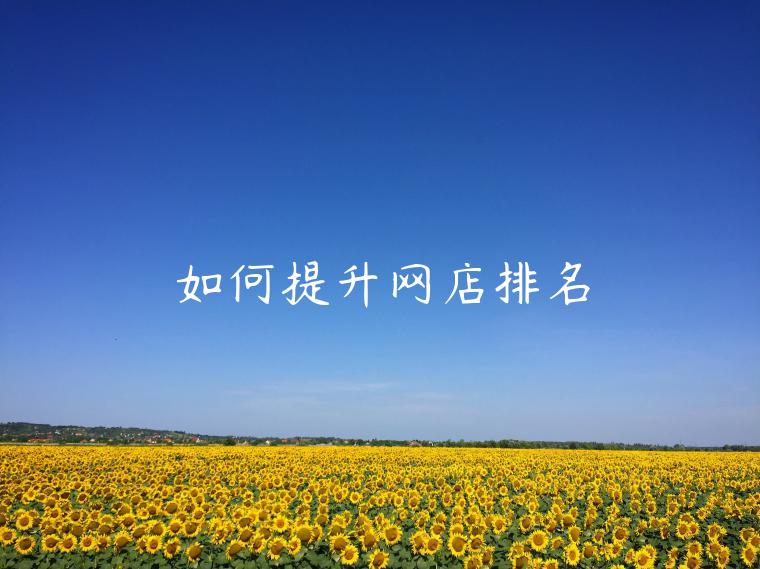 如何提升網(wǎng)店排名